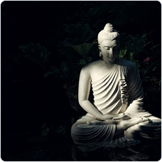 สังคม และศาสนา